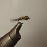 grhe_nymph.jpg