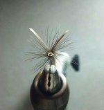 red quill1.jpg