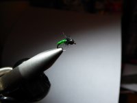Rock Candy Caddis.jpg