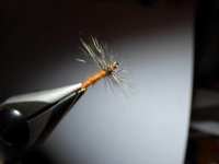 Hackle Wing Rusty Spinner.jpg