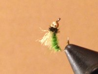 Green Caddis Pupa BH.jpg