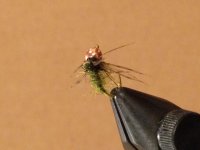 Olive Caddis BH.jpg