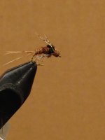 Pheasant Tail Larva BH r.jpg