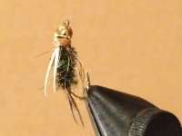 Prince BH Nymph 2.jpg