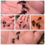 4:24:16.tying.jpg