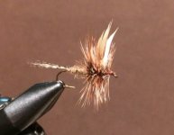 Quill Wing MB.JPG