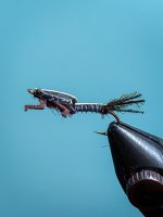 IMG_9115.jpg