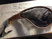 IMG_4382.JPEG
