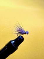 IMG_0822.jpeg