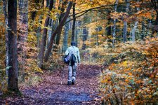 _caz2296 mohican october 2019 john x1500.JPG