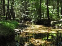 Shaeffer Run (2).jpg