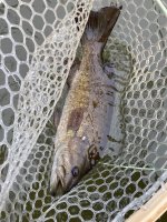 IMG_3836.jpeg