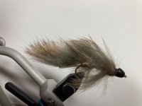 IMG_3843.jpeg