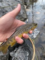 IMG_2804.jpeg