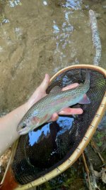 IMG_0157.jpeg