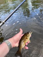 IMG_2727.jpeg