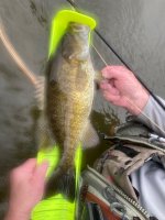 IMG_3869.jpeg
