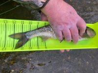 IMG_3875.jpeg