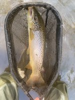 IMG_5276.jpeg