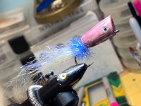 IMG_4465.jpeg