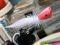 IMG_4472.jpeg