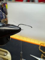IMG_1774.jpeg