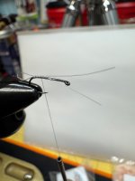 IMG_1783.jpeg
