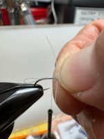 IMG_1784.jpeg