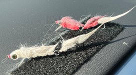 IMG_0164.jpeg