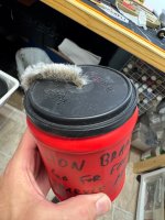 IMG_1908.jpeg
