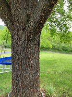 IMG_7533.jpeg