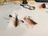 IMG_0164.jpeg