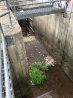 IMG_5894.JPEG