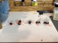 IMG_0165.jpeg