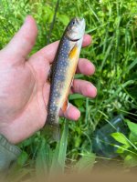 IMG_9558.jpeg