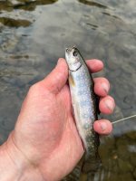 IMG_6688.jpeg