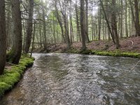 IMG_9566.jpeg
