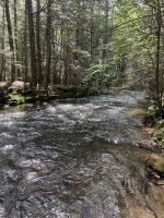 IMG_9563.jpeg