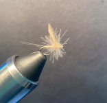 IMG_6077.jpeg