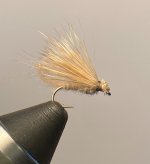 IMG_4403.jpeg