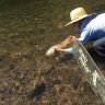 YoughRiverGuide