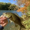 Redfin