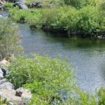 wickenm
