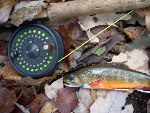 Flyfisherman_PA