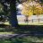 acesedgley