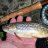 WildTigerTrout