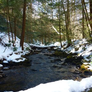 2013-03-09 NFBC 8.JPG