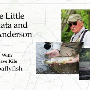 Media 'Fly Fishing the Little Juniata with Bill Anderson' in category 'Paflyfish Webinars'