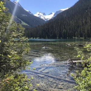 Media 'Joffres Lakes Park, British Columbia' in category 'Streamside Images'