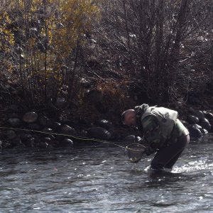 The Release